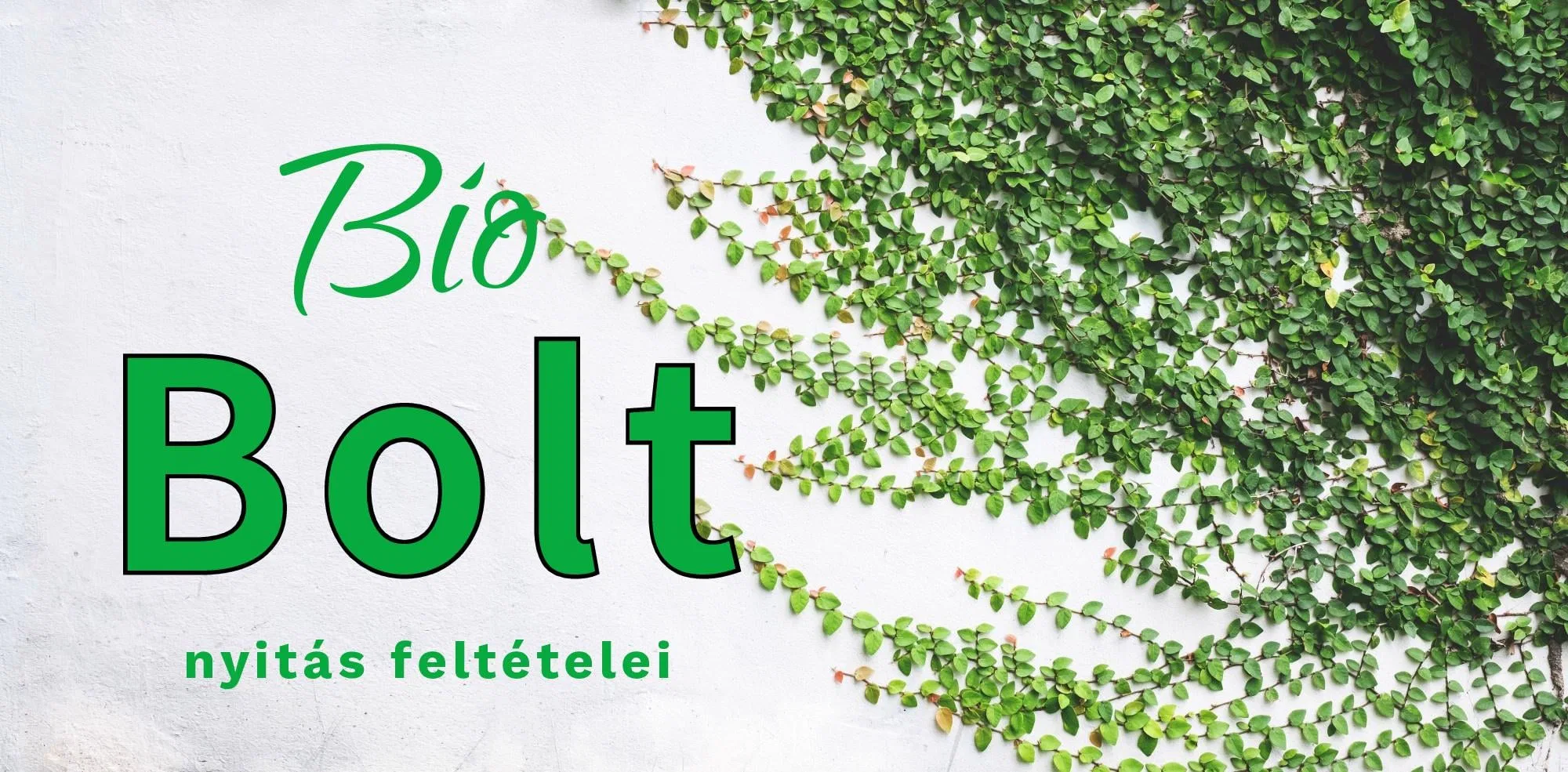 Biobolt nyitás feltételei 2025
