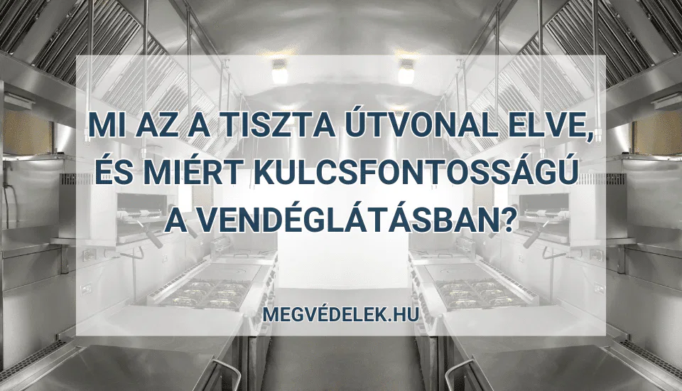 Tiszta útvonal elve