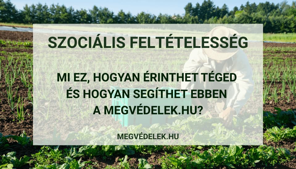 Szociális feltételesség  – mi ez, hogyan érinthet téged és hogyan segíthet ebben a megvédelek.hu?