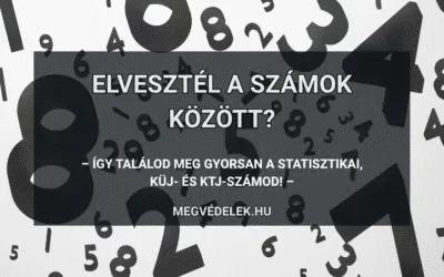 Elvesztél a számok között? Így találod meg gyorsan a statisztikai, KÜJ- és KTJ-számod!