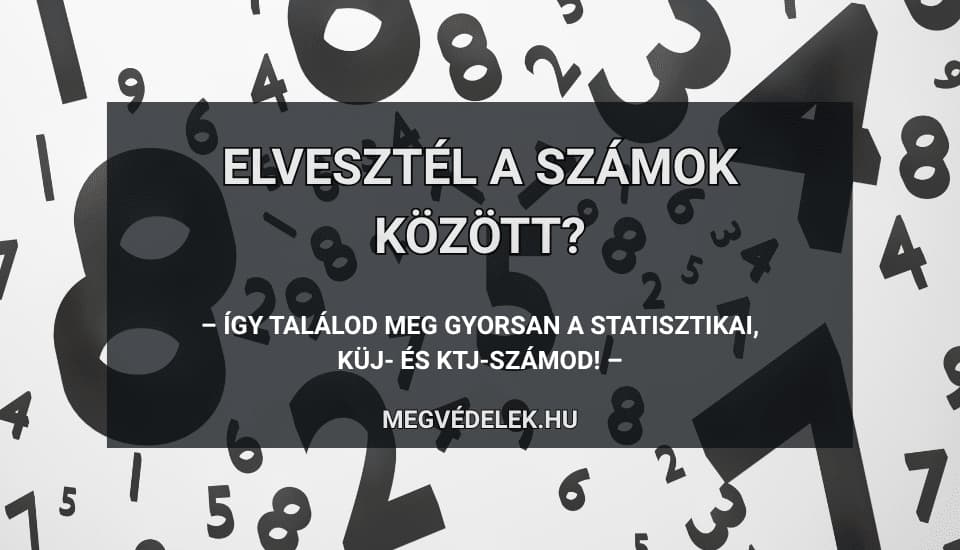 Elvesztél a számok között? Így találod meg gyorsan a statisztikai, KÜJ- és KTJ-számod!