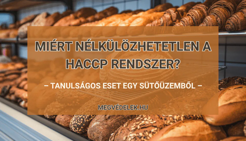 Miért nélkülözhetetlen a HACCP rendszer – tanulságos eset egy sütőüzemből