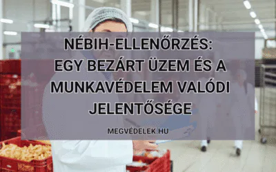 NÉBIH-ellenőrzés: egy bezárt üzem és a munkavédelem valódi jelentősége