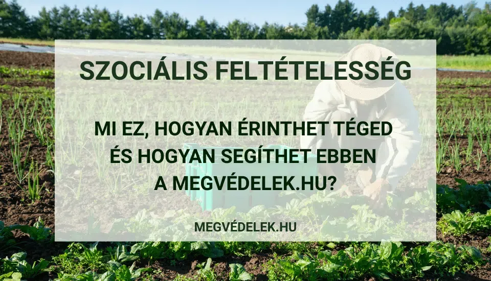 gazdálkodói kötelezettségek