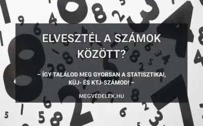 Elvesztél a számok között? Így találod meg gyorsan a statisztikai, KÜJ- és KTJ-számod!